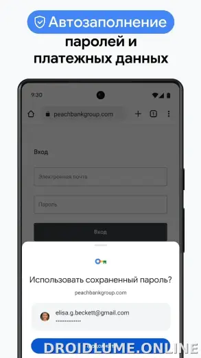 Google Chrome скриншот 6