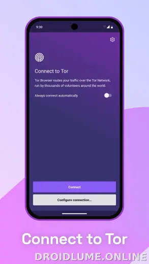 Tor Browser скриншот 1